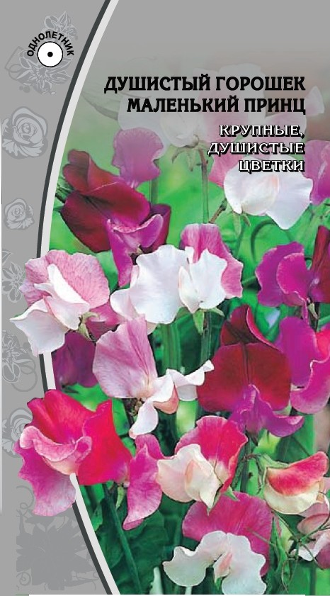 Кликните для увеличения изображения
