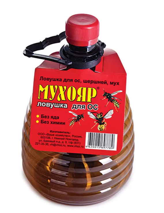 Кликните для увеличения изображения