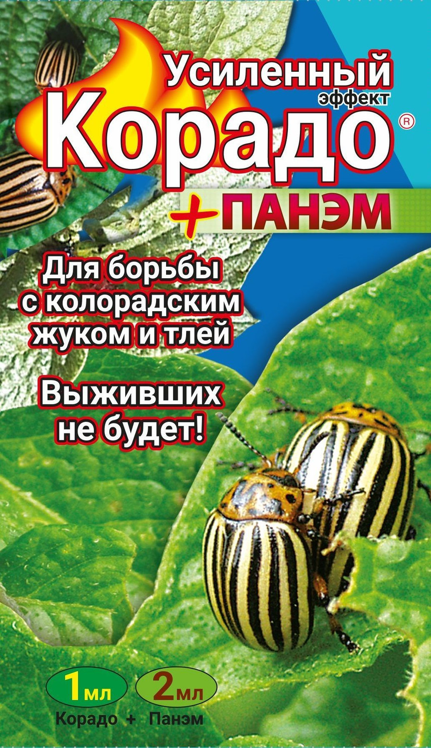 Кликните для увеличения изображения