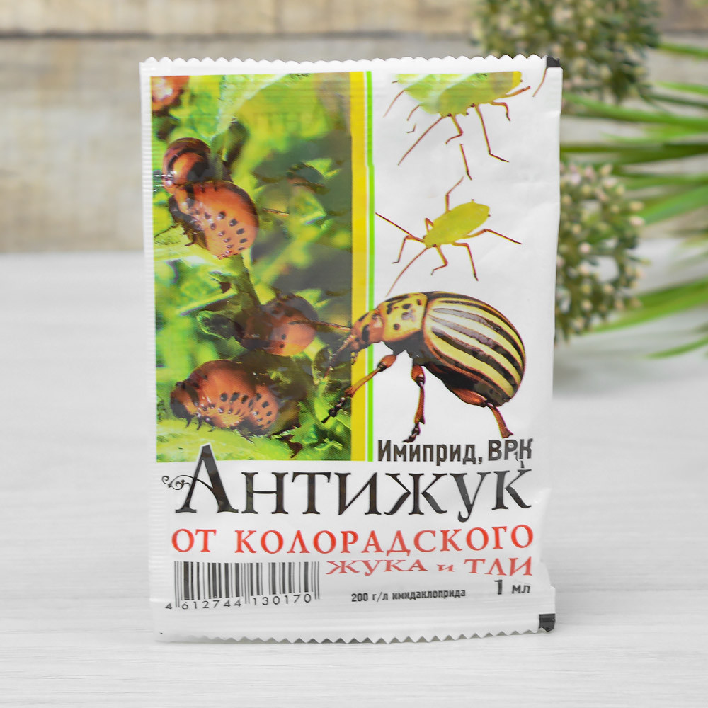 Кликните для увеличения изображения