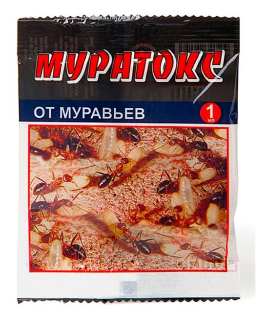 Кликните для увеличения изображения