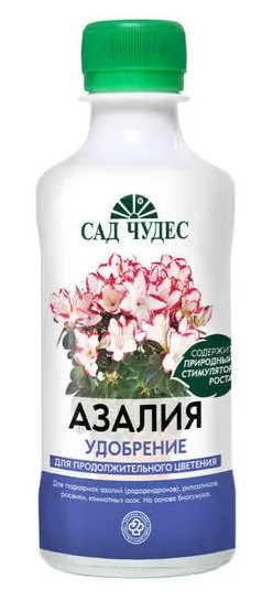 Кликните для увеличения изображения