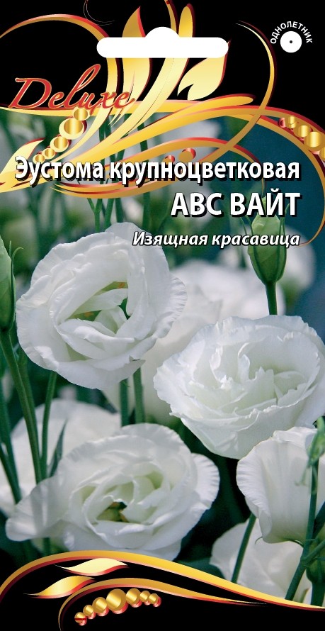 Кликните для увеличения изображения