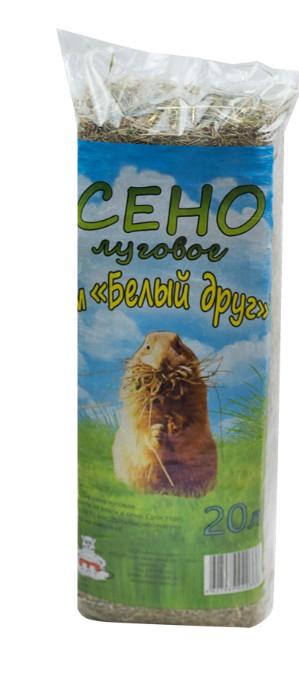 Кликните для увеличения изображения