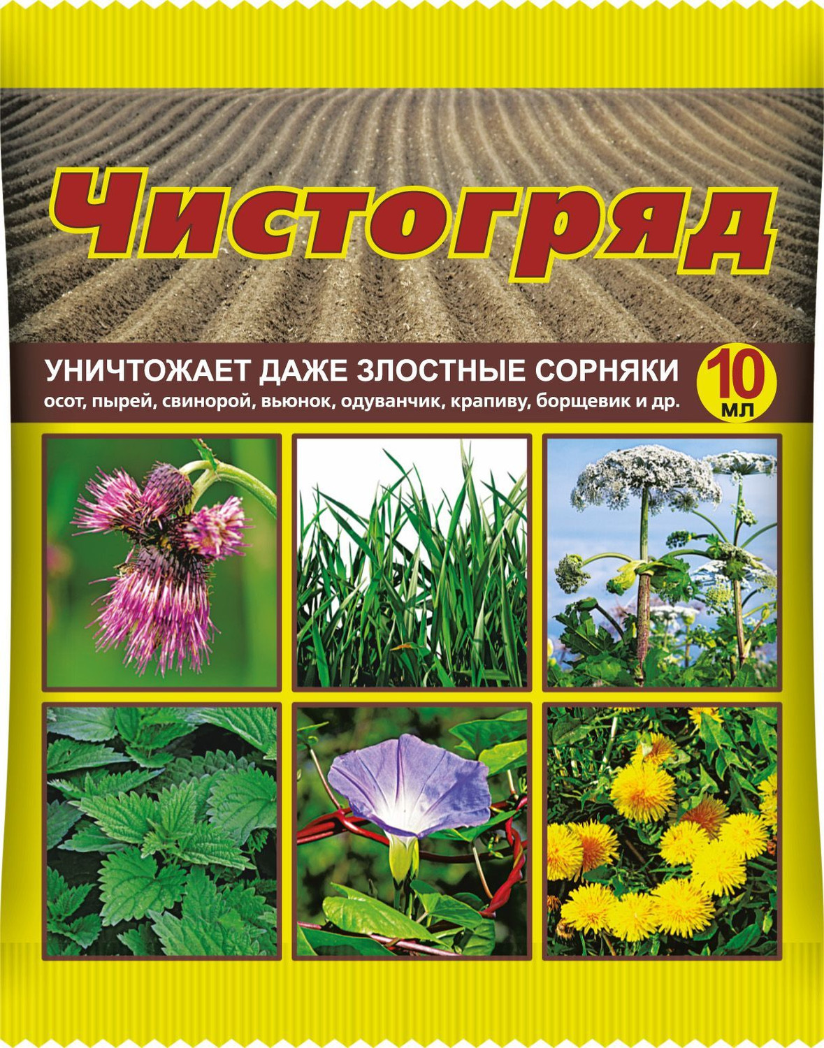 Кликните для увеличения изображения