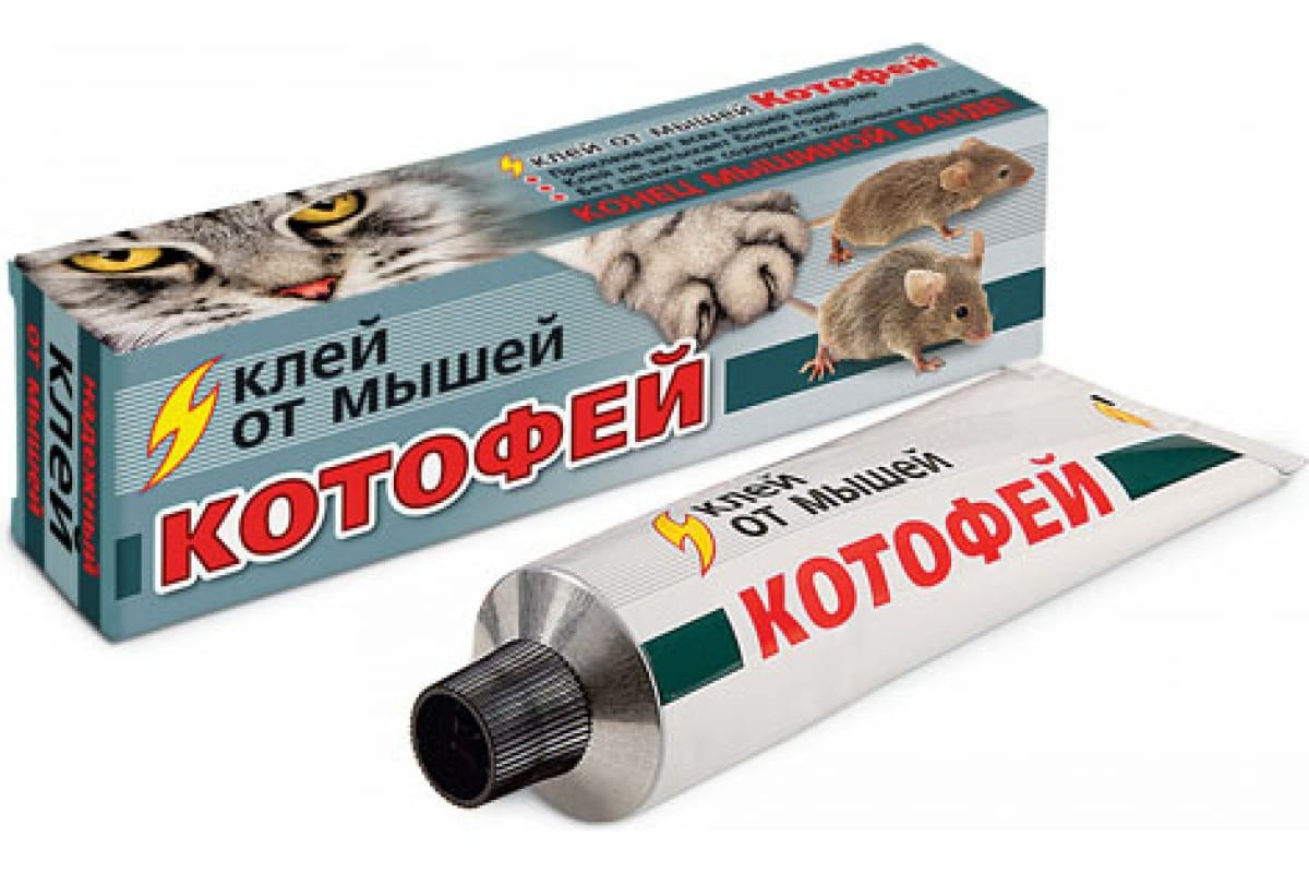 Кликните для увеличения изображения