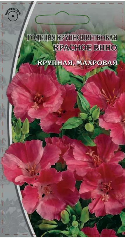 Кликните для увеличения изображения