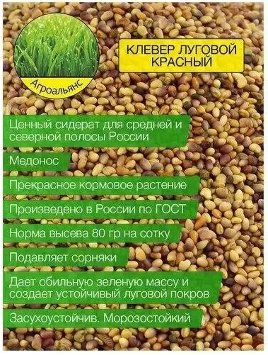 Кликните для увеличения изображения
